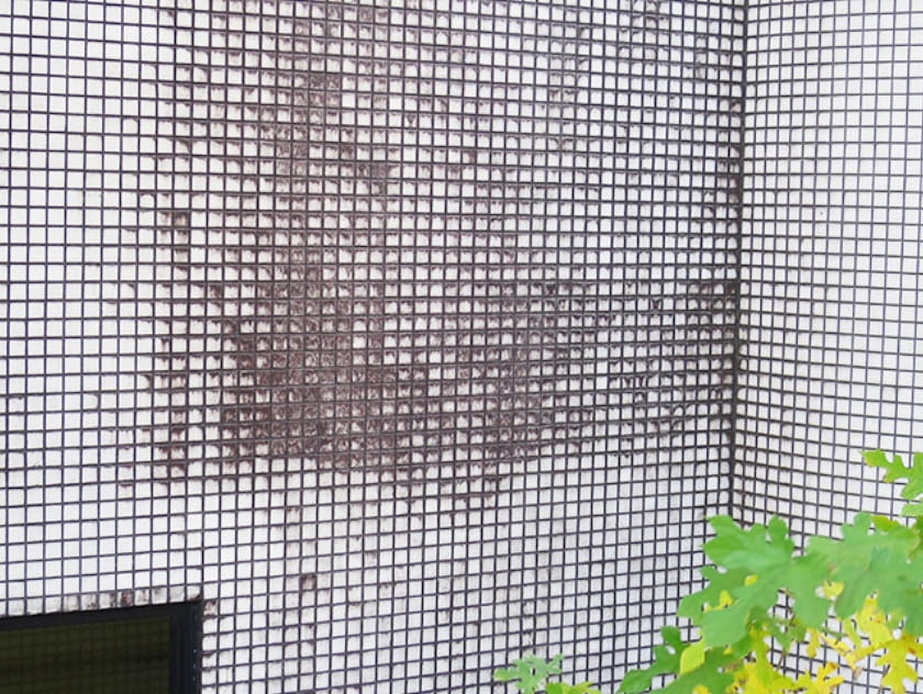 表面の汚れ・変色