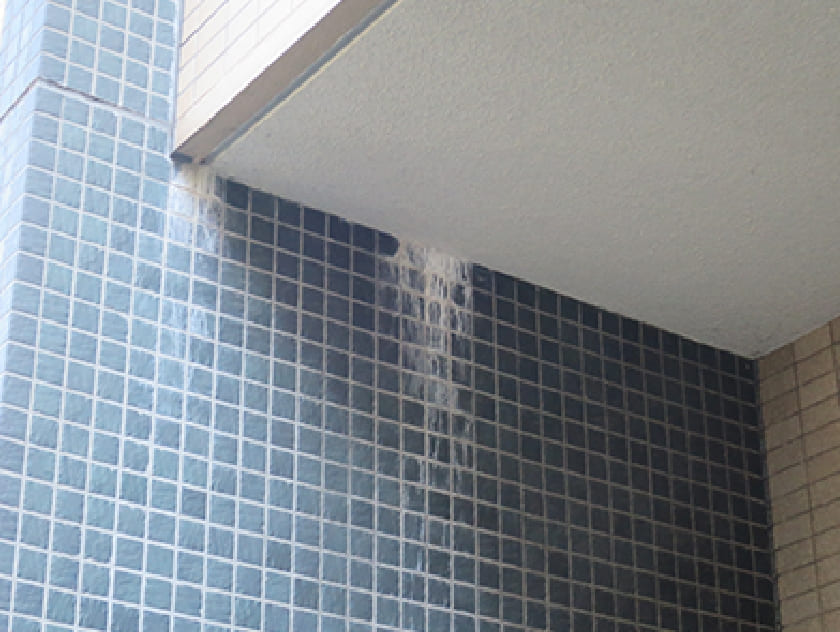 白華現象(エフロレッセンス)