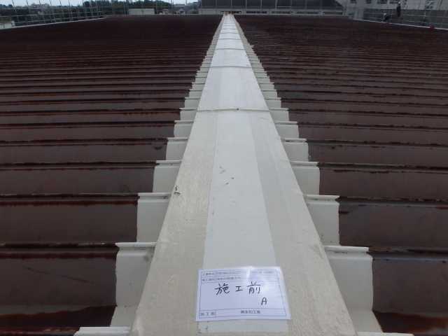 N高等学校　体育館屋根改修工事