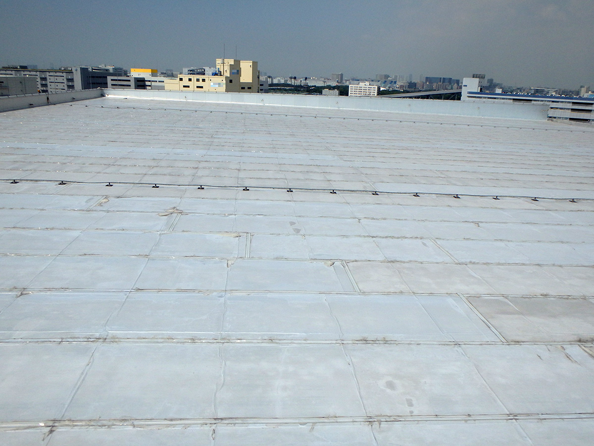 T水産物流倉庫 屋上クリヤー塗装工事