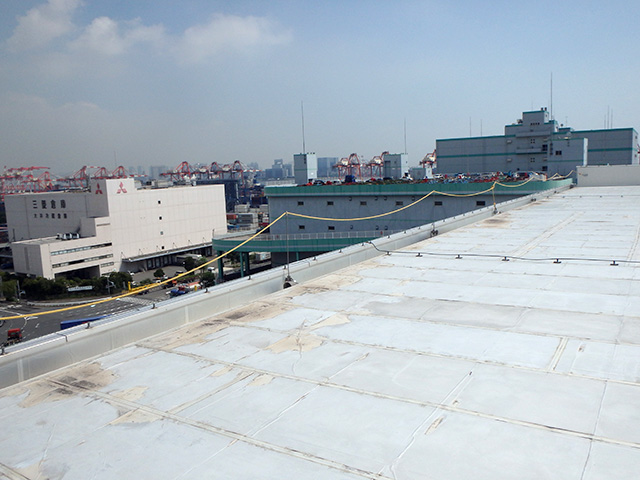T水産物流倉庫 屋上クリヤー塗装工事