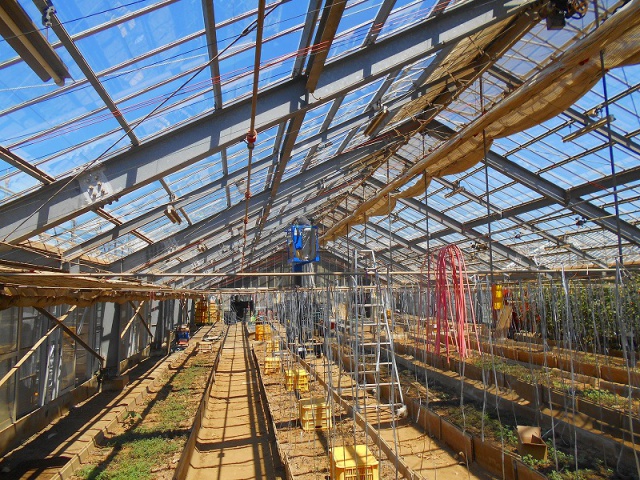 MH高等学校屋根補修工事