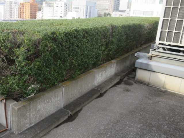 S会館外装工事及び屋上防水工事