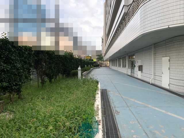 区立Hセンター屋上防水等改修工事
