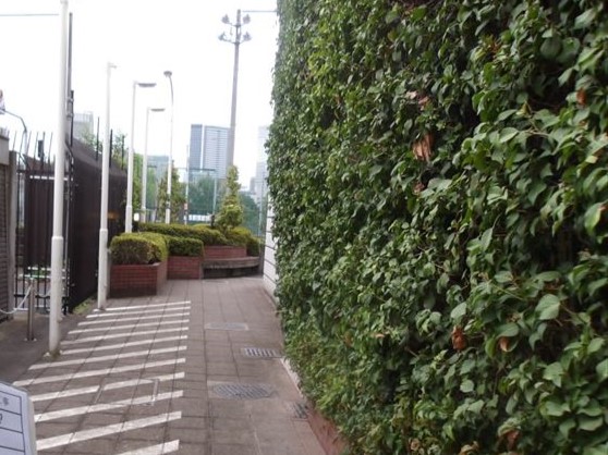 S給水所公園運動場管理棟外壁等改修工事