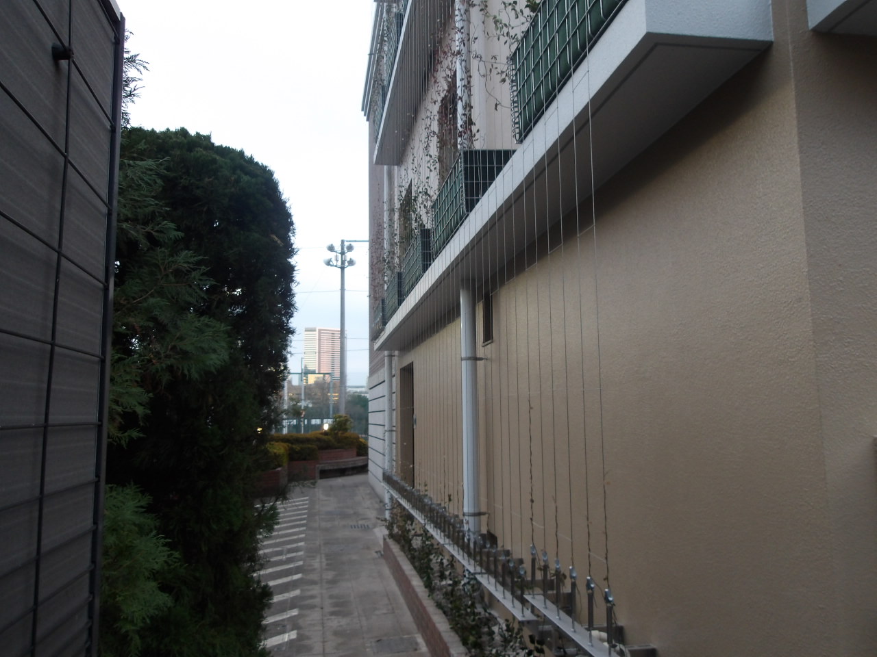 S給水所公園運動場管理棟外壁等改修工事